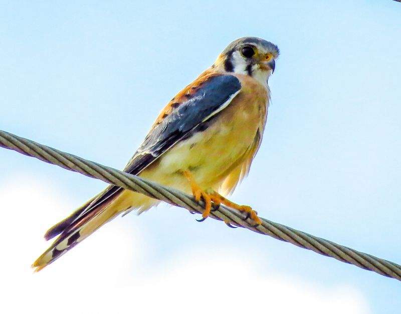 Luce e Colore Fotografia - Image 9